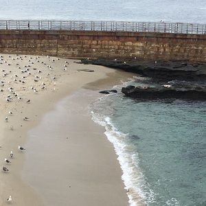 Meet your Posher, Jaycee